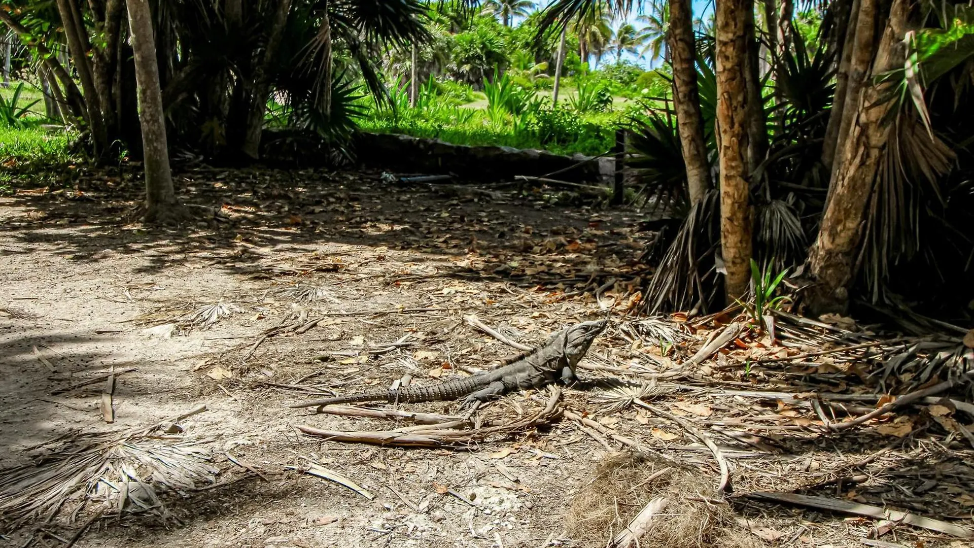 Villa Katalox At Aldea Zama Tulum